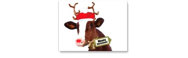 MooeyChristmas.jpg