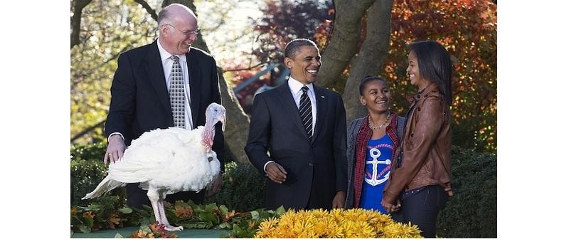 ObamaTurkeyPardon.jpg