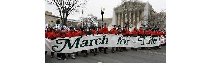 ProLife.jpg